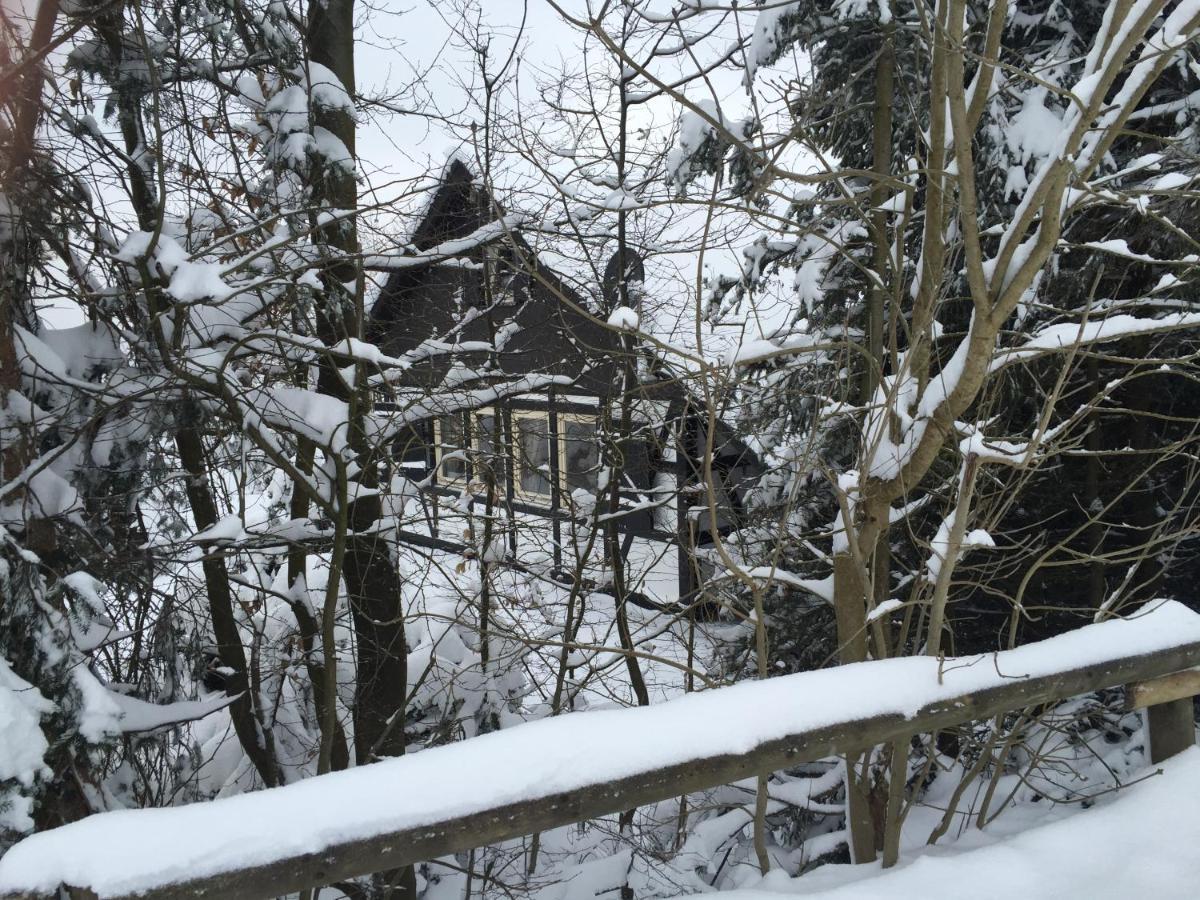 Ferienhaus Sauerlandtraum Winterberg Extérieur photo