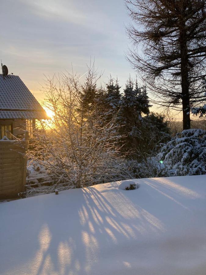 Ferienhaus Sauerlandtraum Winterberg Extérieur photo