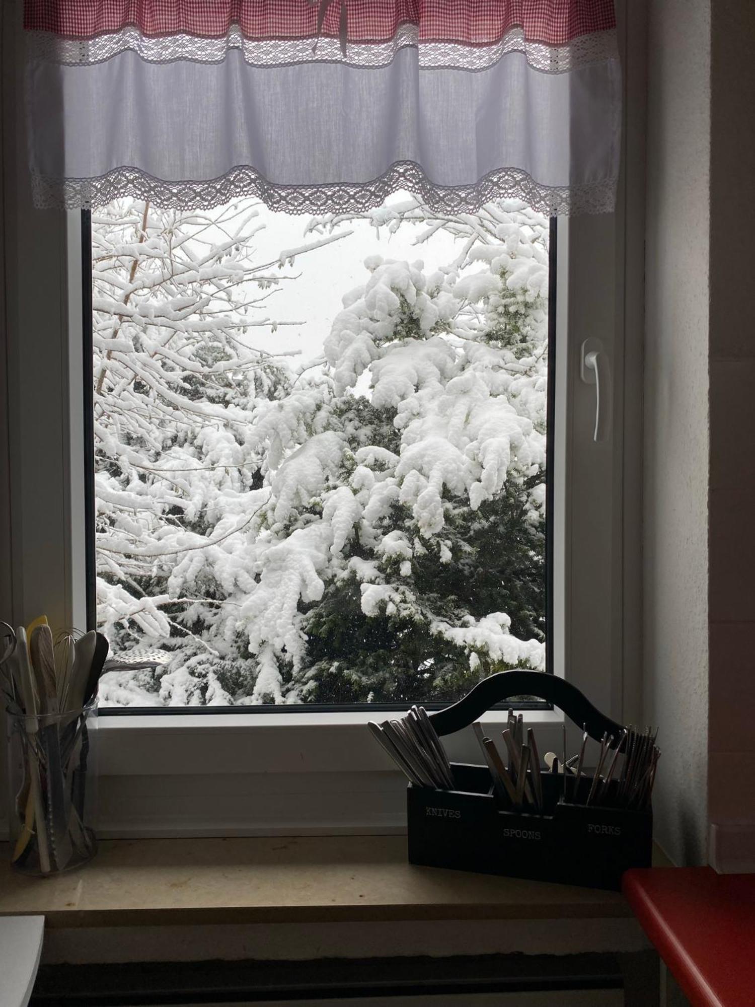 Ferienhaus Sauerlandtraum Winterberg Extérieur photo
